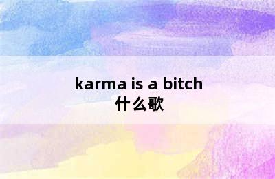karma is a bitch 什么歌